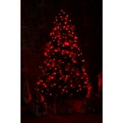 Hi-Line Gift Ltd. Multi-Function Timed String Lights - 100 RGB LEDs with Remote