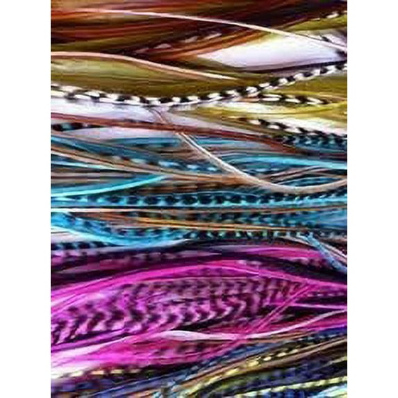 100 Real Feather for Hair Extenisons Mix Color Hair Extensions 4"-5.5" Long Includes 100 Silicone Micro-ring Beads & Hook Pulling Tool.