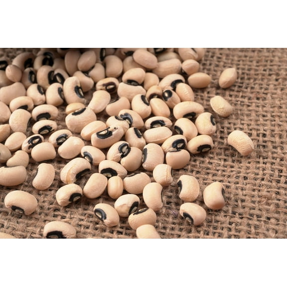 100 Seeds BLACKEYE PEA (Cow Pea / Cowpea / Southern Pea / Blackeyed Pea / Black Eye Pea) Vigna Unguiculata Vegetable Seeds