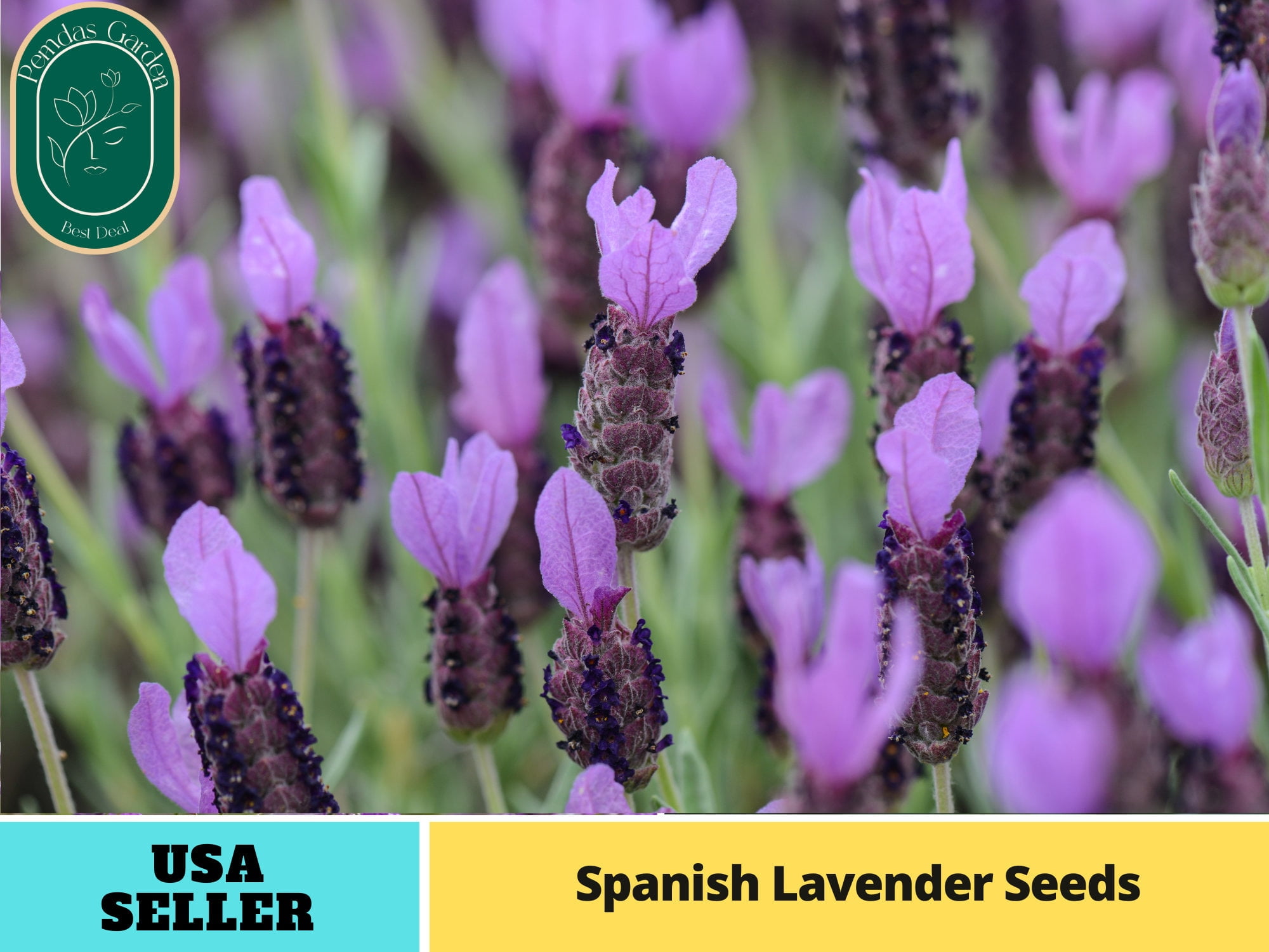 garden vegetables seeds 30 Assorted Packages of Vegetable Seeds, 15+ Varieties, All Seeds are  Heirloom, 100% Non-GMO main image 1