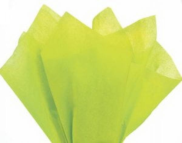  Carte dozio – Sage Green Tissue Paper – 50 Sheets A CONF. – F.  to 76 cm x 100 – 21 gr/mq : Arts, Crafts & Sewing