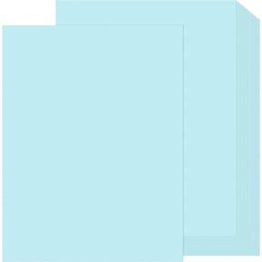 100 Sheets Light Blue Cardstock 8.5 x 11 Thick Paper, 80lb Card Stock Printer Paper for Arts & Crafts, Presentations, Stationary Printing