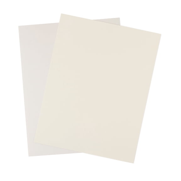 100 Sheets Shimmer Silver & Champagne 8.5 x 11 Cardstock Paper by Recollections - Acid and Lignin Free Paper for Scrapbooks - Arts & Crafts - 1 Pack