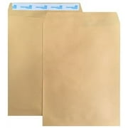 100 ShippingMailers 9 x 12 Kraft Catalog Envelopes /w Self Adhesive Flap