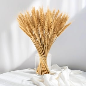 100 Stems Dried Wheat Stalks - Boho Fall Decor for Home & Wedding