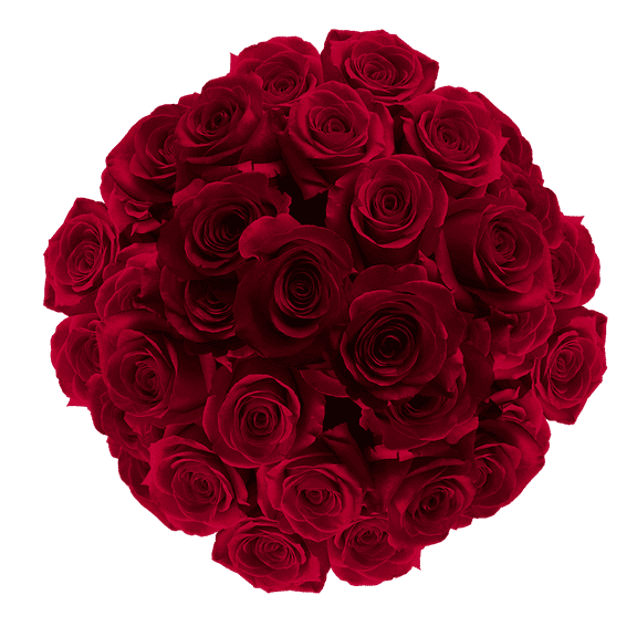 100 Stems of Burgundy Roses- Fresh Flower Delivery