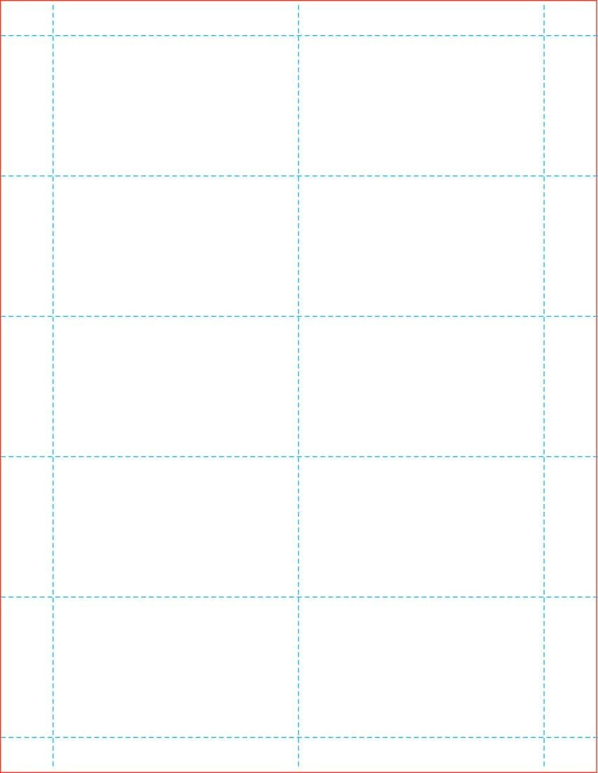 100# Tag Blank 10 Per Page White, Laser/Ink Jet Business Card Stock 1000