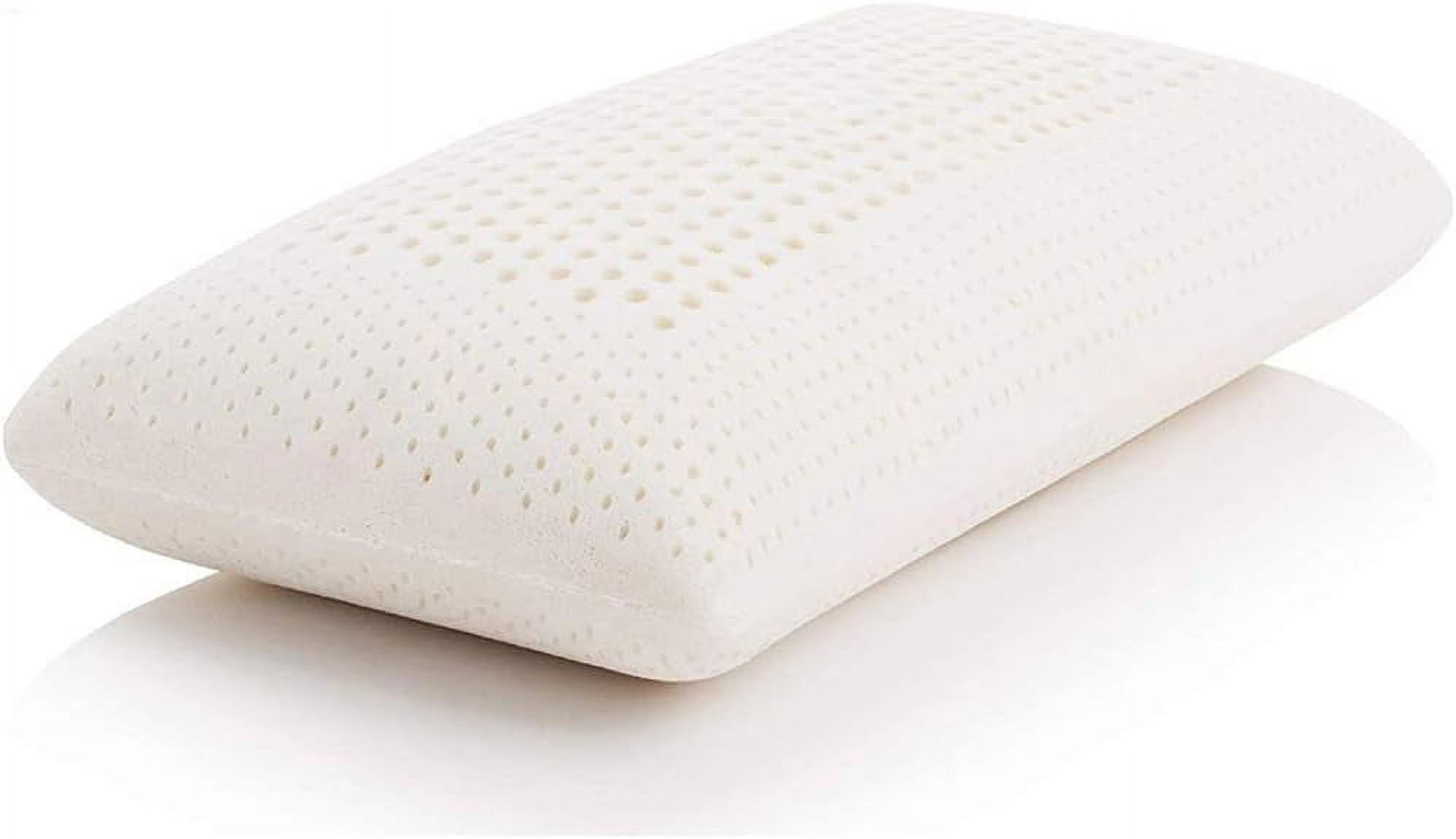 100 Talalay Latex Pillow Bed Pillow for Sleeping, Extra Soft Natural