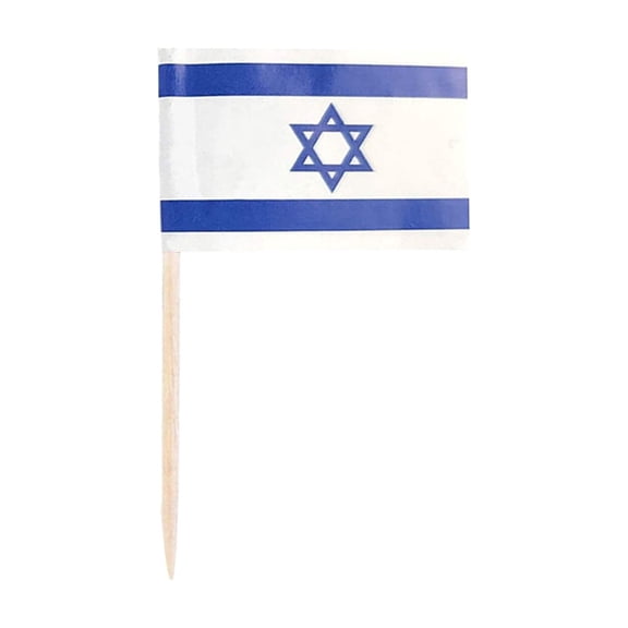 100 Toothpick Flags Wooden Food Picks Paper Flag Labels for Cake Dessert Snacks Drink Decoration Independence Day Party