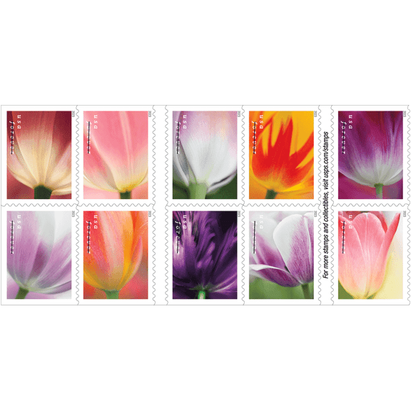 100 Tulip Blossoms USPS Forever Postage Stamp US First Class Flower Spring Wedding Holiday Celebrate Announcement Party (100 Stamps)