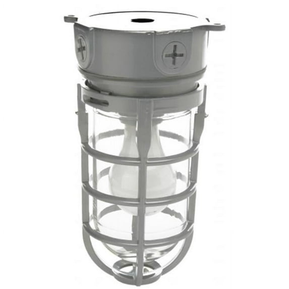 100 Watt Outdoor Weatherproof Industrial Light With Clear Gl