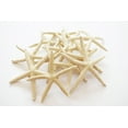 thumbnail image 1 of 100 White Pencil (Finger) Starfish 3-4" Beach Wedding Nautical Decor Crafts, 1 of 3