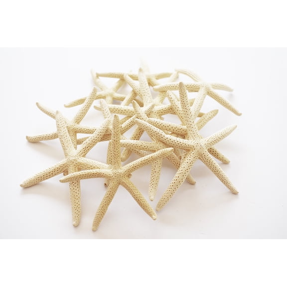 100 White Pencil (Finger) Starfish 3-4" Beach Wedding Nautical Decor Crafts