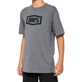thumbnail image 1 of 100% Youth Icon Gray size Small, 1 of 2