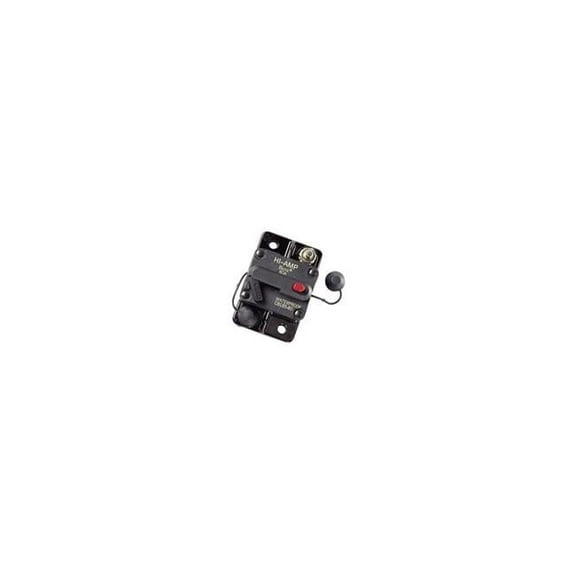 100 amp Circuit Breaker