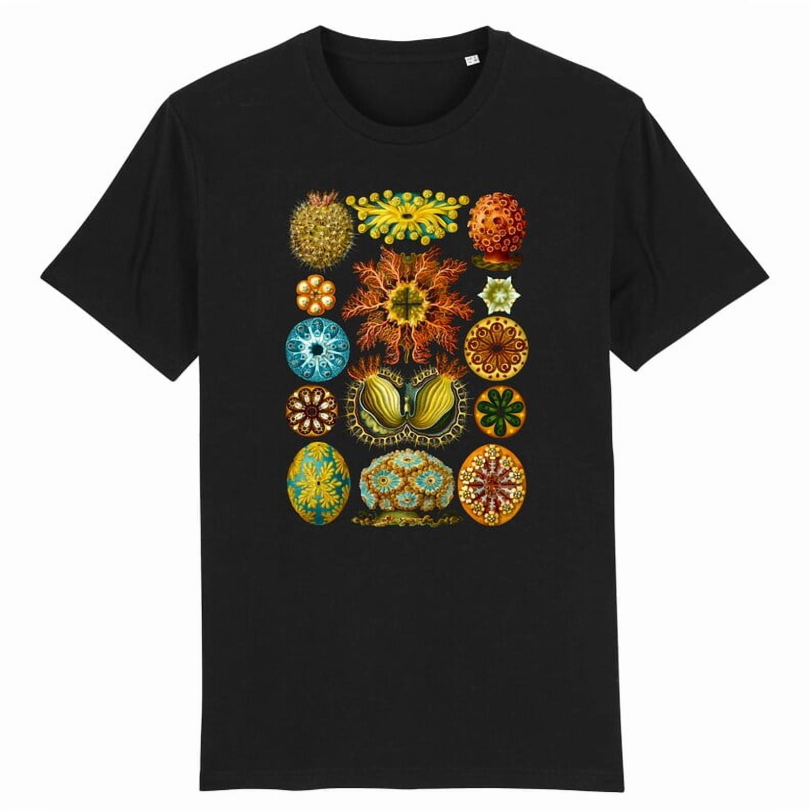 100% cotton tshirts men tee Ascidiae from Ernst Haeckel Kunstformen der