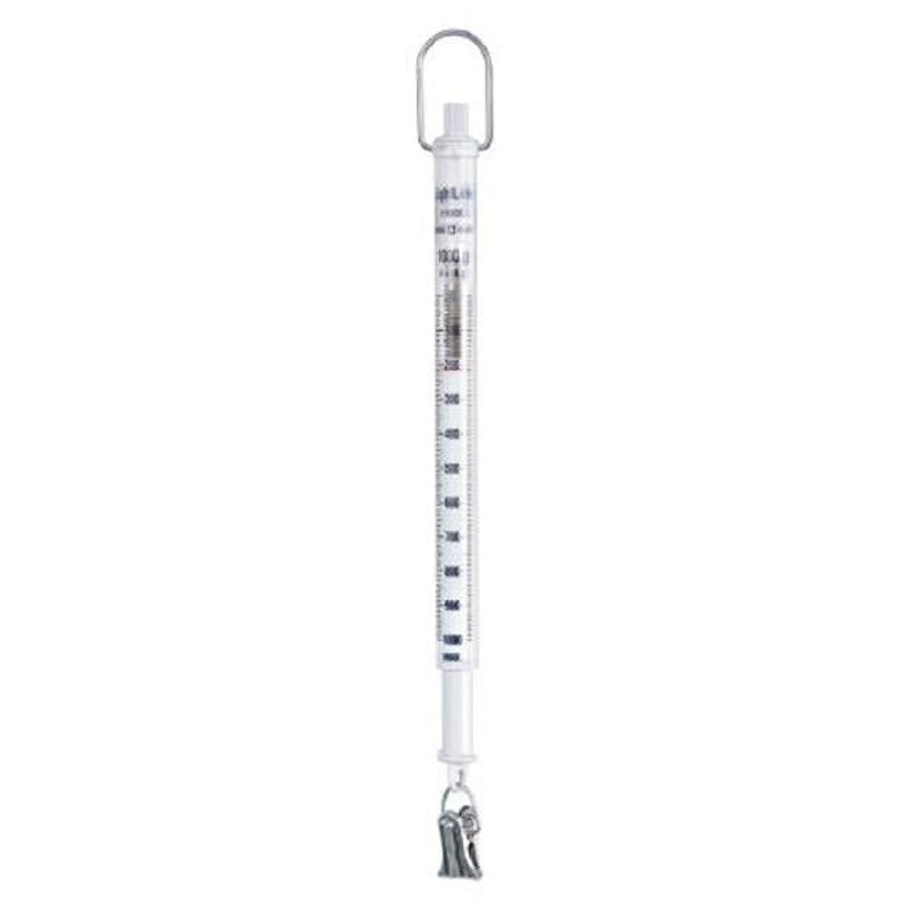 100 g Spring Max Scale