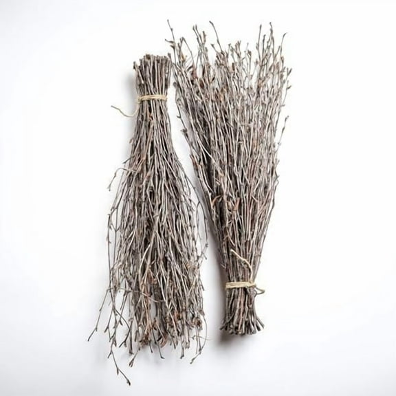 100 pcs Birch Twigs for vase Decoration. Set of 2 Bundles of Branches 100% Natural Sticks 17 inches$$Home Decor, Kitchen, & Other