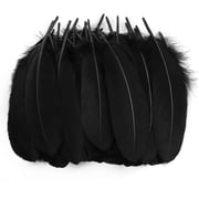 100PCS Black Feathers, 6-8 inch Feathers Bulk for DIY Crafts Wedding Halloween Costume Decorations