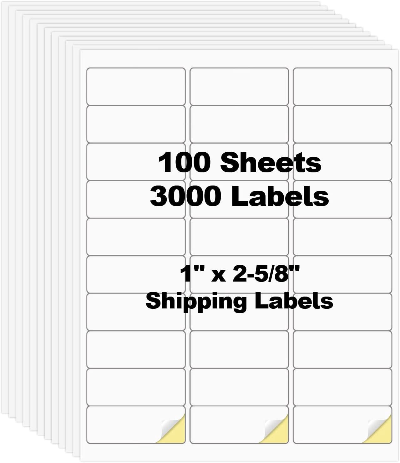 100 sheets of 3000 pieces of 1-inch by 2-5/8-inch shipping address ...
