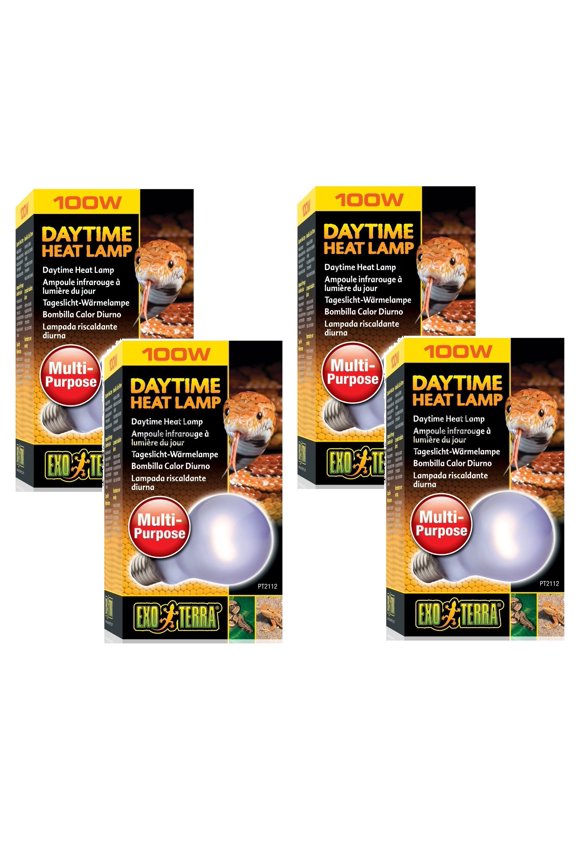 (4 Pack) Exo Terra Sun-Glo Neodymium A21 Lamp, 100 Watt