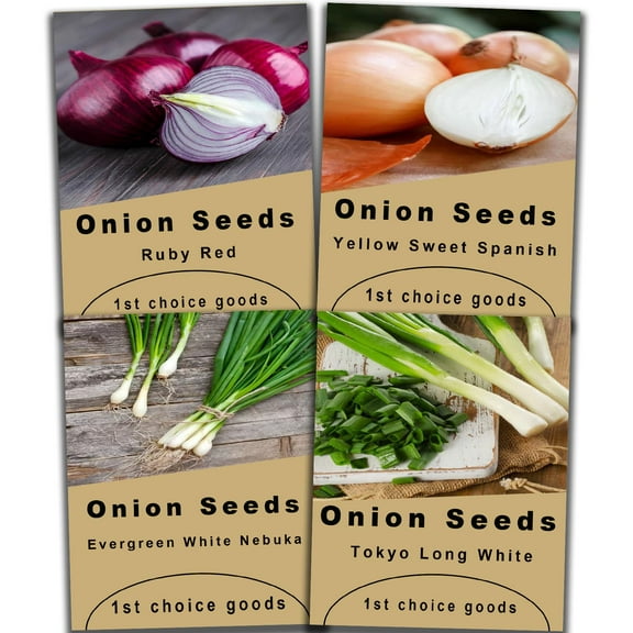 1000+ 4-in-1 Onion Seeds for Planting MVR1| Evergreen White Nebuka, Ruby Red, Tokyo Long White & Yellow Sweet Spanish | Non-GMO, USA-Grown Seeds (1000mg Each) for Indoor & Outdoor Home Gardening