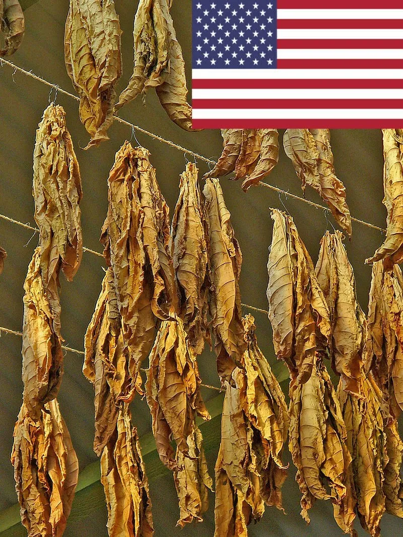 can you buy tobacco in morocco Morocco raised prices again on several mass-market cigarette brands from  April 1, lifting the cost of Casa, Camel Activate, Marquise Classic and  Marvel under a new customs circular that also brings in