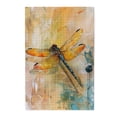 thumbnail image 1 of 1000 PCS Dragonflies jigsaw puzzles 1000 pieces,Stunningly Vibrant Colors,Stress relieving pleasure,Enchanting Dragonflies Wooden Puzzle 1000 Piece,Great for Relaxation and Display for Puzzle Lovers, 1 of 6