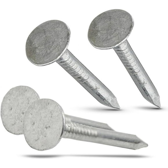 (1000 Pack) 1 Inch - Galvanized Roofing Nails Professional Grade - Used to fasten roofing felt, asphalt singles & insulation board