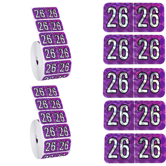 1000 Pcs 2026 Year Holographic Purple Stickers – Self-Adhesive Rectangle File Folder Labels | Strong Adhesive, Easy-to-Peel Office Supplies for Document Coding & File Organization, 2 Roll(Purple)