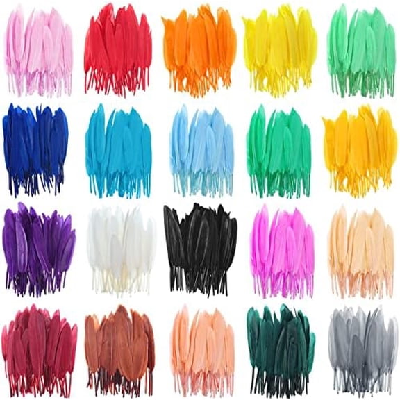 1000 Pcs Colorful Goose Natural Feathers Rainbow 4-6 Inches Feathers Colored Feathers for Crafts DIY Art Jewelry Making Decorations Supply, 20 Colors