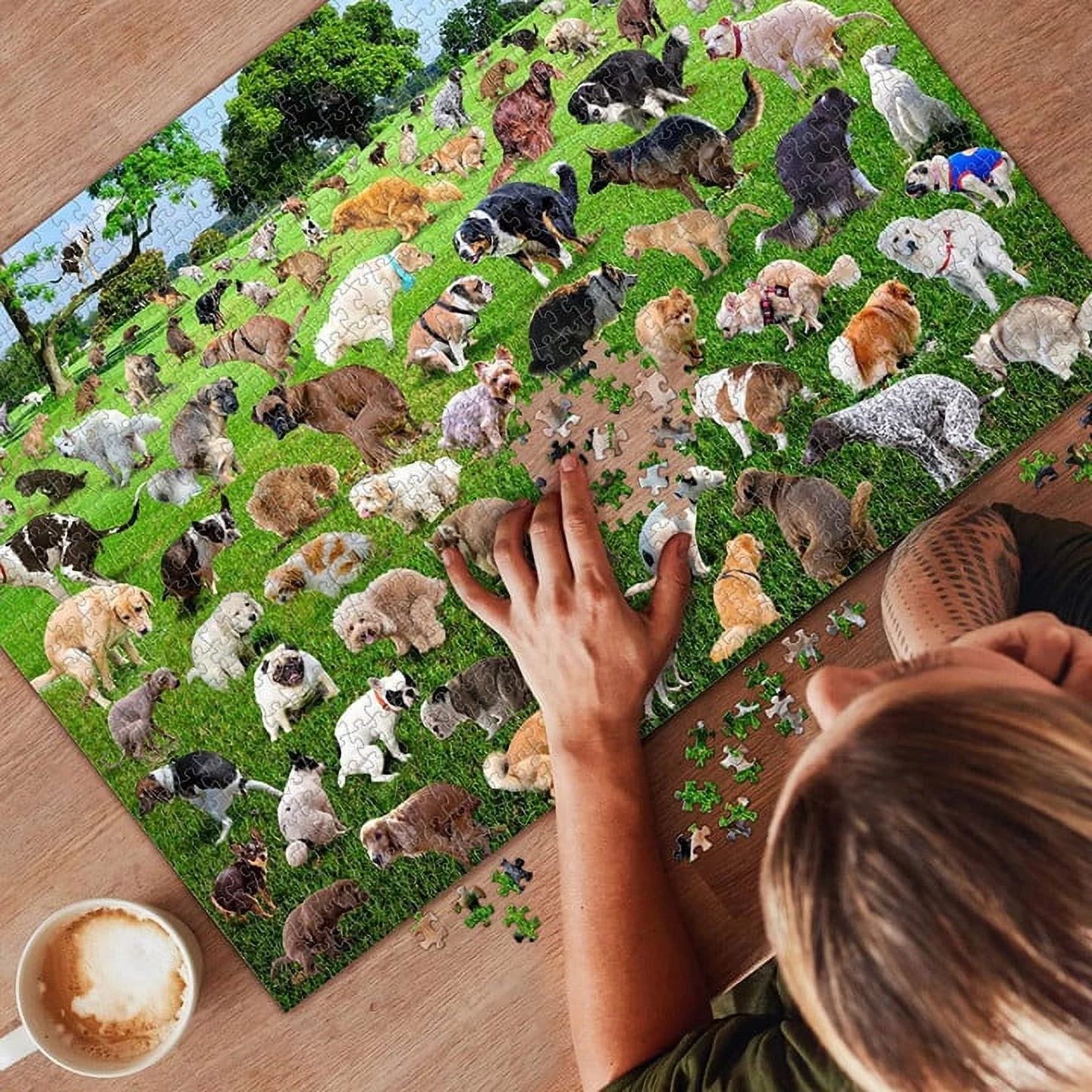 Pooping Dogs 1000 Piece Dog Puzzles for Adults - Funny Gift Dog Poop Gag  Jigs