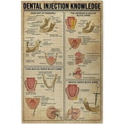 1000 Piece Jigsaw Puzzles Dental Injection Knowledge Dentist's Guide Puzzles for Adults 1000 Pieces Puzzles Jigsaw Puzzles for Adults 1000 Pieces and Up Puzzle Gift for Women Men 29.5x19.7 Inch