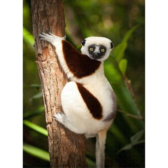 1000 Piece Puzzle for Adults Jigsaw Puzzles Thick Sturdy Hard Challenging Difficult Party Games Props a Tree Puzzles for Adults