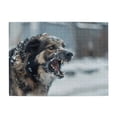 thumbnail image 1 of 1000-Piece Wooden Jigsaw Puzzle for Adults - Aggressive Dog Open Mouth Fangs , Interlocking Pieces with Guide Letters, Holiday Gift & Home Decor, 1 of 7