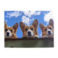 thumbnail image 1 of 1000-Piece Wooden Jigsaw Puzzle for Adults - Corgis Fence Sky Peek View , Fun & Challenging Brain Teaser, Stylish Home Decor & Unique Gift, 1 of 7