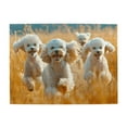 thumbnail image 1 of 1000-Piece Wooden Jigsaw Puzzle for Adults - Dogs Running In Field , Interlocking Pieces with Guide Letters, Holiday Gift & Home Decor, 1 of 7