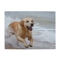 thumbnail image 1 of 1000-Piece Wooden Jigsaw Puzzle for Adults - Golden Retriever Beach Fun , Interlocking Pieces with Guide Letters, Holiday Gift & Home Decor, 1 of 7