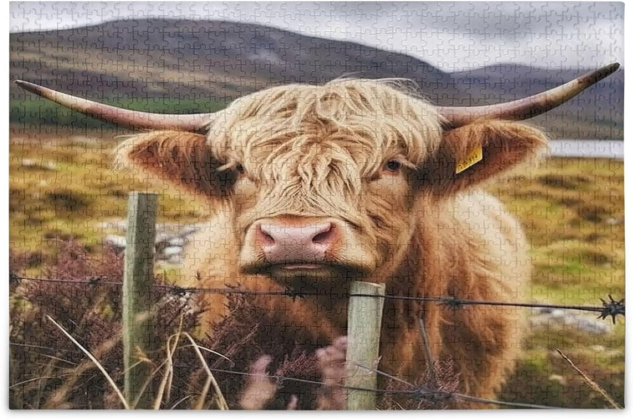 MyPuzzle 1000 Piece Jigsaw Puzzle - Highland Cows Scotland Coast, Premium Quality, Made In USA 4 thumbnail image