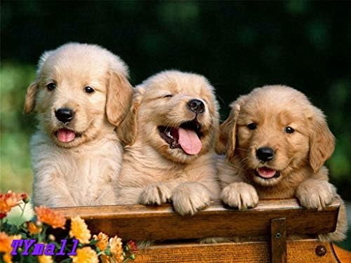 Golden Retriever Jigsaw Puzzle 1000 Pieces – Funny Dog Puzzle For Adults, Difficult Animal Puzzle – Wall Art Decor