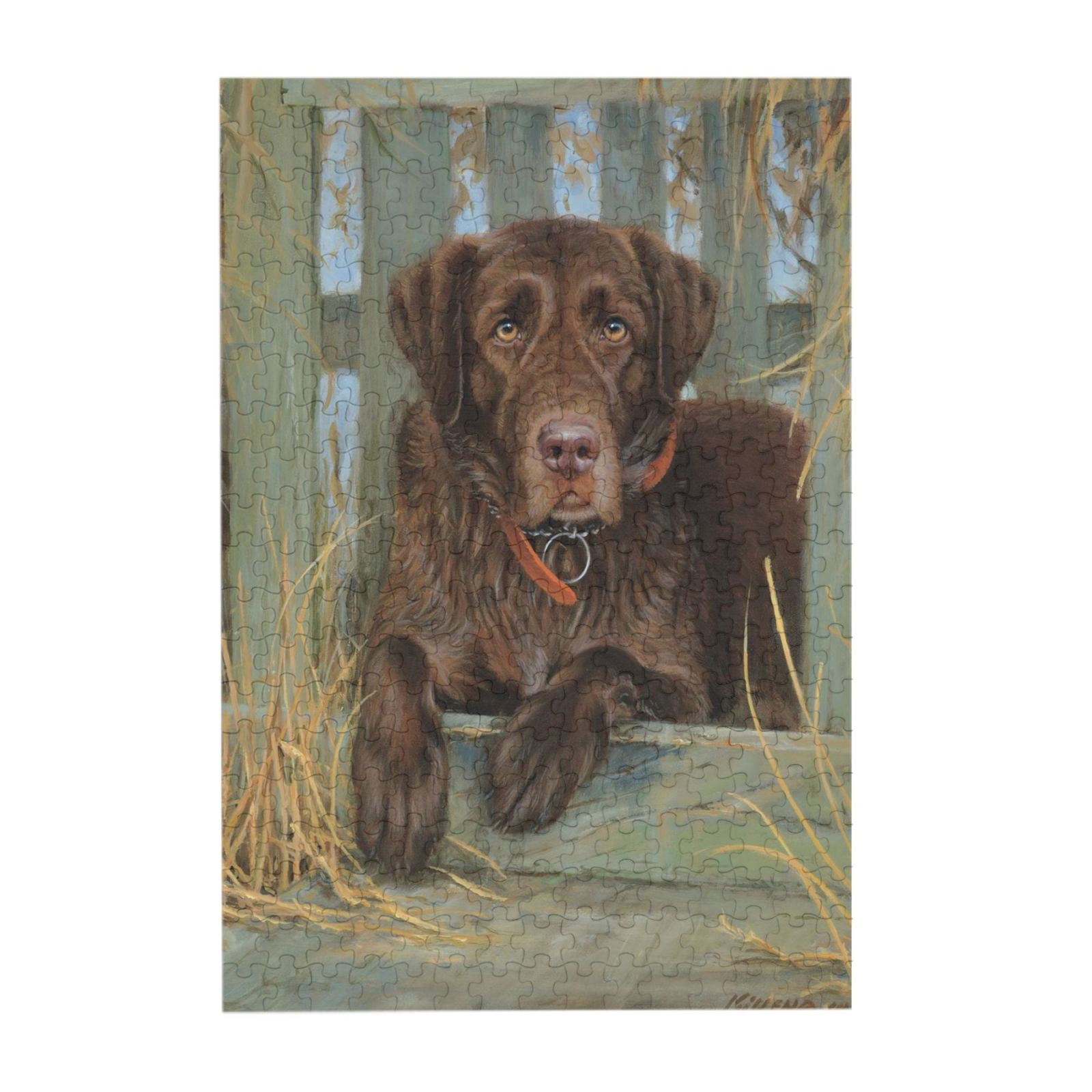1000 Pieces Jigsaw Puzzle for Adults and Kids Labrador Dog Lab