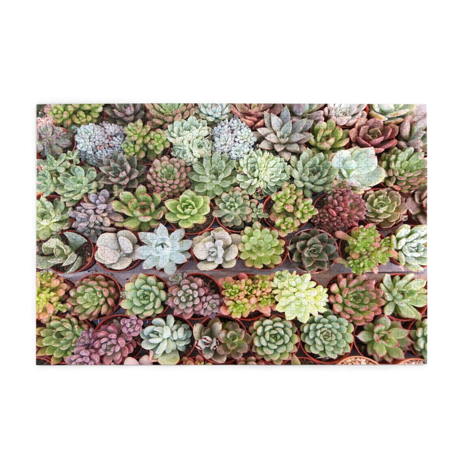 1000 Pieces Puzzle For Adults Children Wooden Jigsaw Puzzle Challenging ...