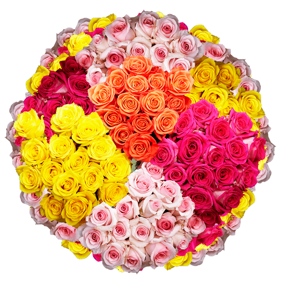 1000 Stems of Assorted Roses- Beautiful Fresh Cut Flowers- Express Delivery