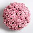 thumbnail image 1 of 1000 Stems of Solid Pink Color Roses- Beautiful Fresh Cut Flowers- Express Delivery, 1 of 6