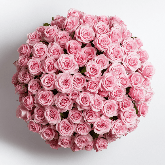 1000 Stems of Solid Pink Color Roses- Beautiful Fresh Cut Flowers- Express Delivery