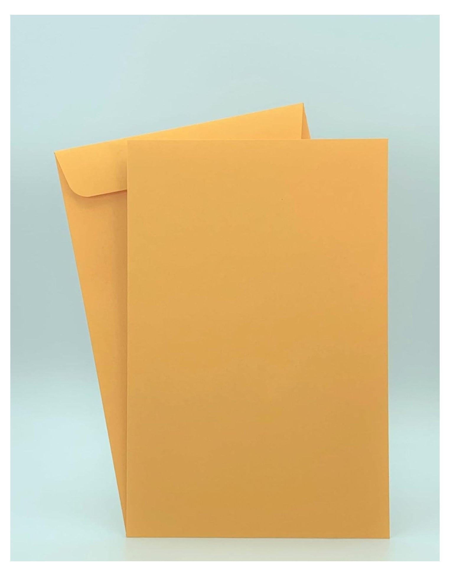 1000 ZanQee 6" x 9" Catalog Envelope (Open End) Sturdy 24lb. Brown