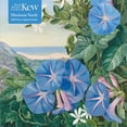 thumbnail image 1 of 1000-piece Jigsaw Puzzles: Adult Jigsaw Puzzle Kew: Marianne North: Amatungula and Blue Ipomoea, South Africa : 1000-Piece Jigsaw Puzzles (Jigsaw), 1 of 1