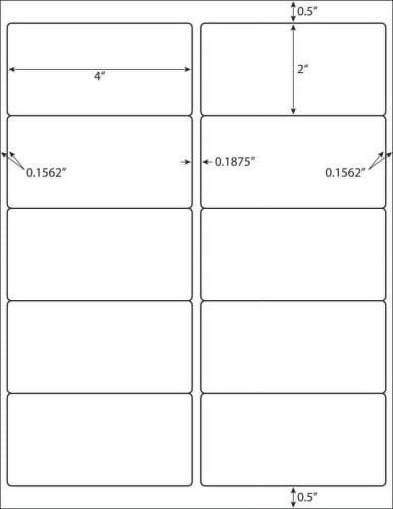 10000 Address Shipping Labels Laser Ink Jet 10 Per Sheet 4"x2" 10UP 1000 Sheets