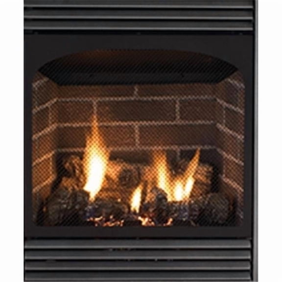 10000 BTU Vail-24 VF LP Fireplace with Millivolt Remote Ready
