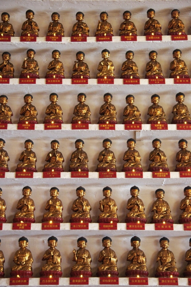 10000 Buddhas Monastery Canvas Art - Mark Thomas Design Pics (12 x 18)